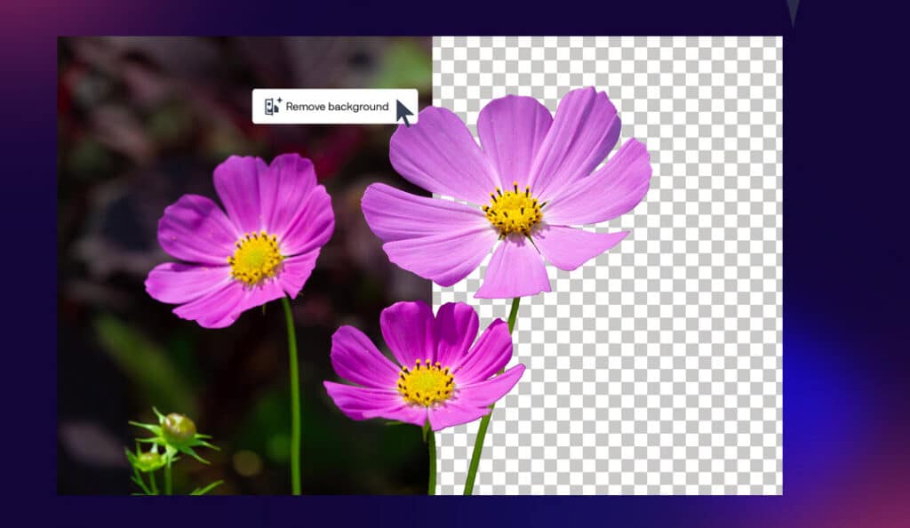 CorelDRAW Graphics Suite 2026 CorelDRAW 2026 Graphics Suite