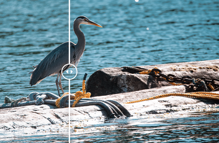 ACDSee Photo Studio Pro 2026 ACDSee Photo Studio 2026 Pro