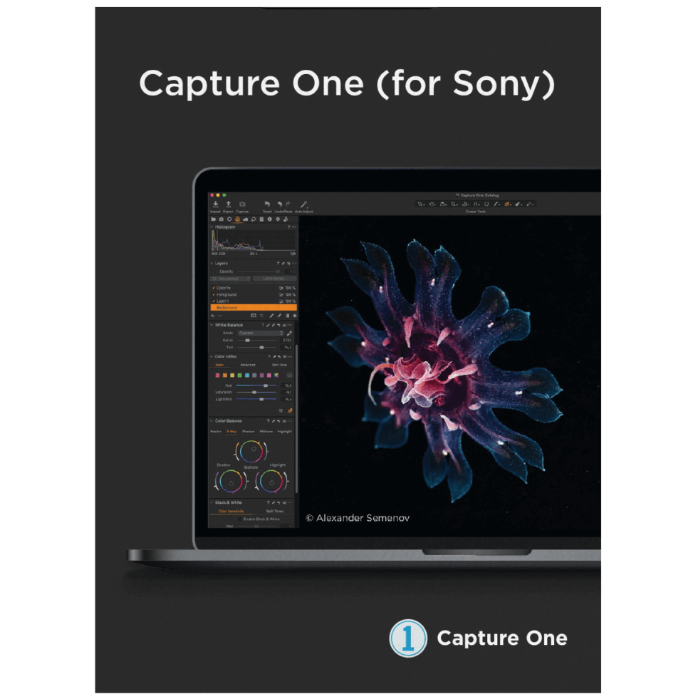 Buy Capture One to edit photos